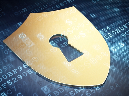 立络科技-如何确保网站数据和用户信息安全